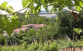 Agriturismo Ca' Verde