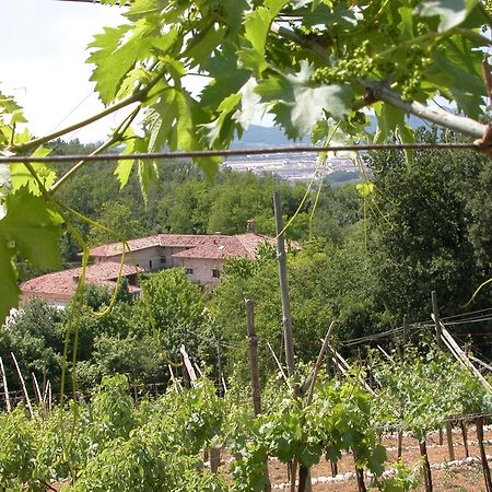 Agriturismo Ca' Verde Villa SantʼAmbrogio di Valpolicella Exteriör bild