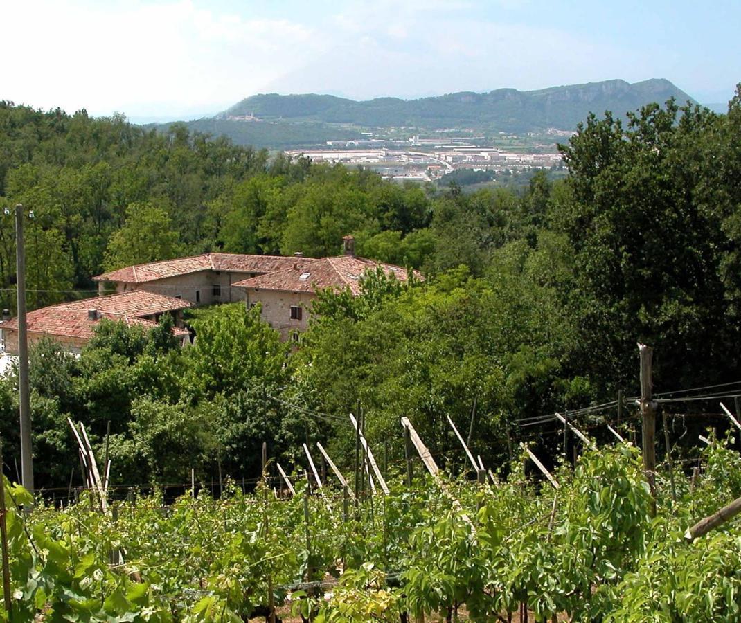 Agriturismo Ca' Verde Villa SantʼAmbrogio di Valpolicella Exteriör bild