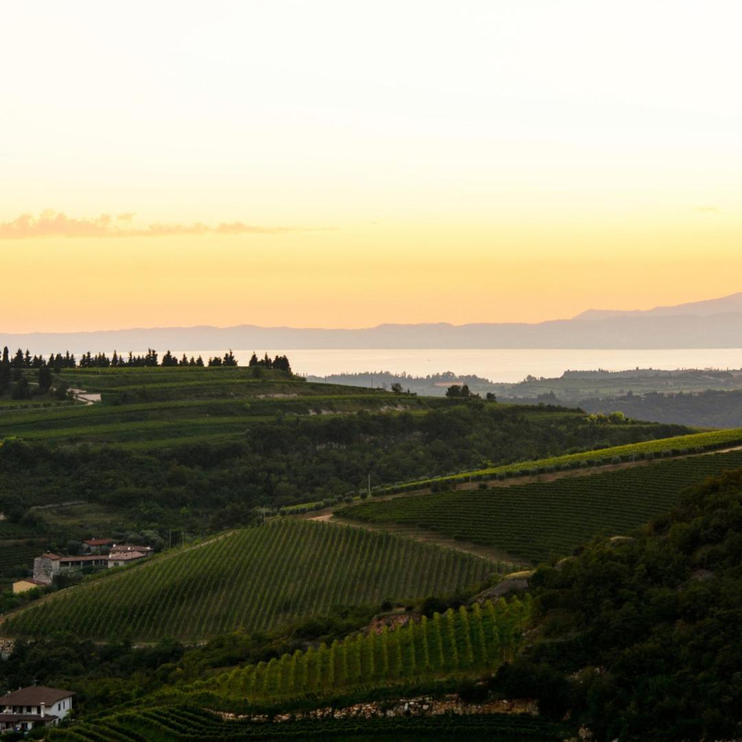 Agriturismo Ca' Verde Villa SantʼAmbrogio di Valpolicella Exteriör bild