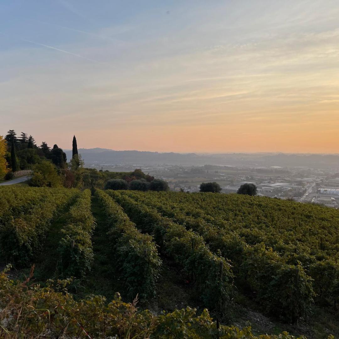 Agriturismo Ca' Verde Villa SantʼAmbrogio di Valpolicella Exteriör bild