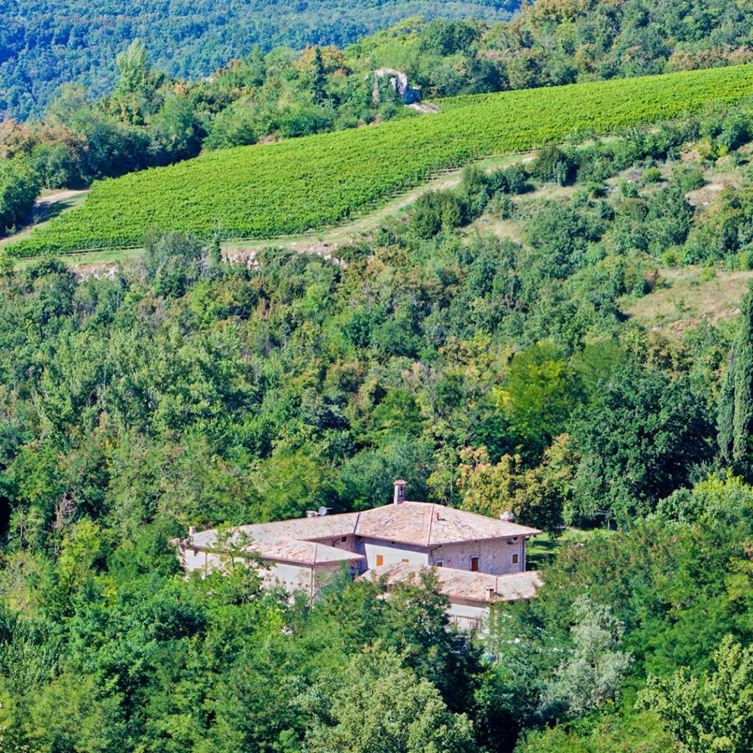 Agriturismo Ca' Verde Villa SantʼAmbrogio di Valpolicella Exteriör bild